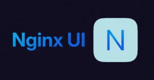 Nginx Yönetim Aracındaki Kritik Güvenlik Açığı Tehlikede