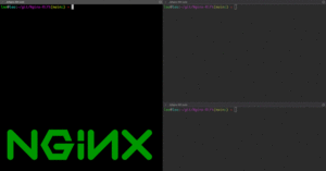 NGINX rewrite modulu acigi: 18 yillik sessiz tehlike nasil ortaya cikti?